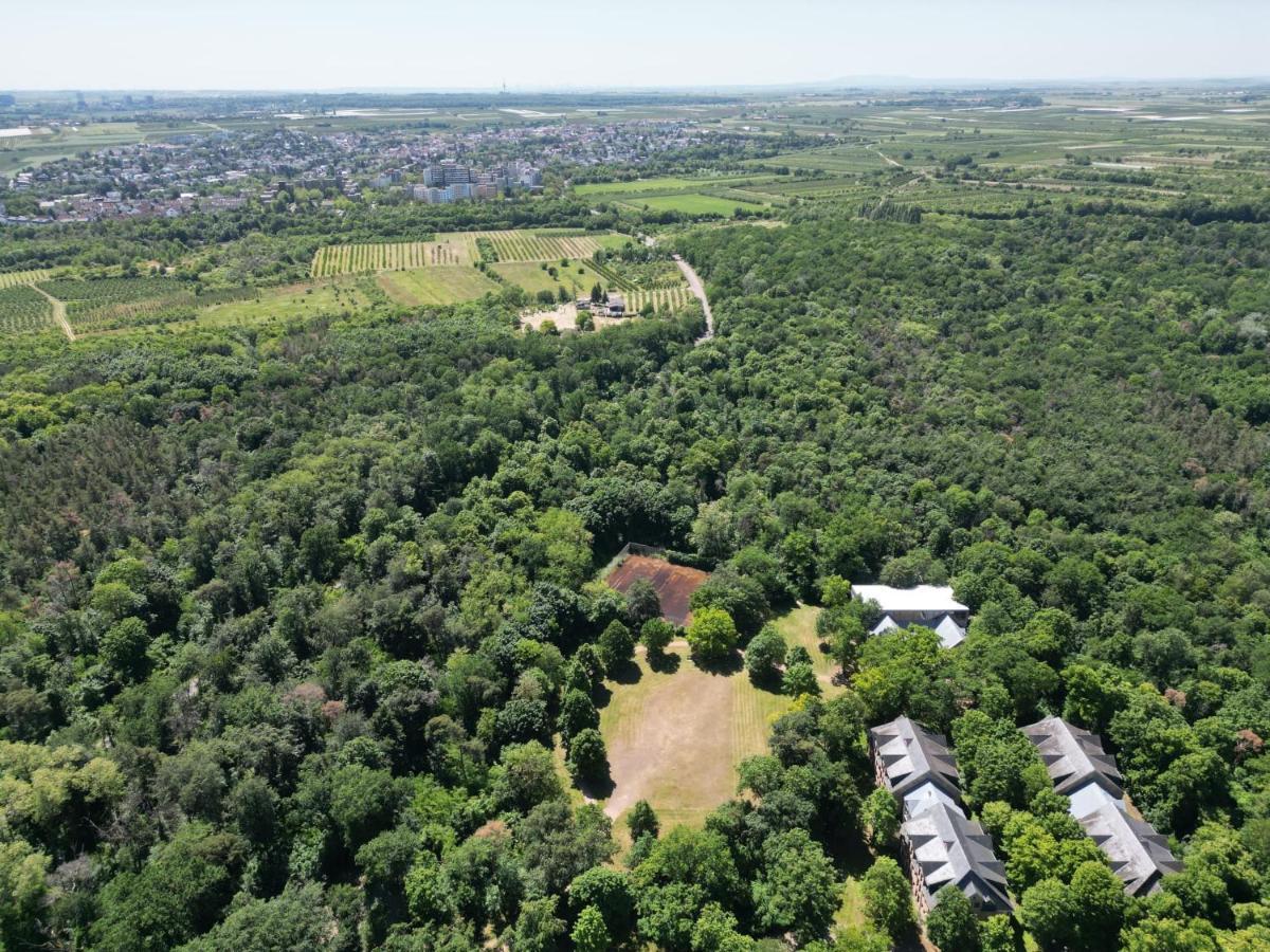 Ferienhaus Budenheim ภายนอก รูปภาพ