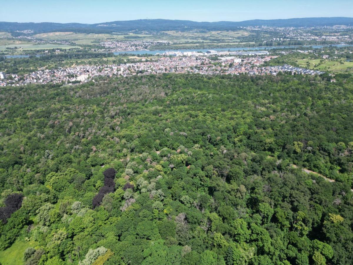 Ferienhaus Budenheim ภายนอก รูปภาพ